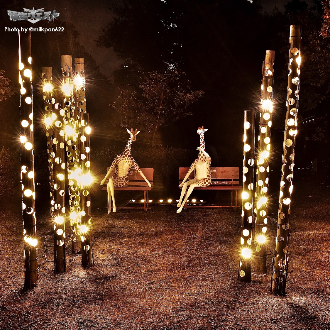 観光　インスタグラム　7