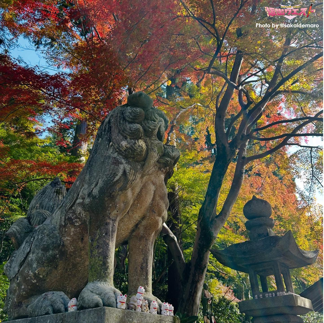 観光　インスタグラム　2