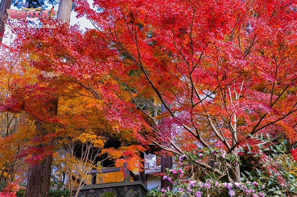 観光　インスタグラム　11