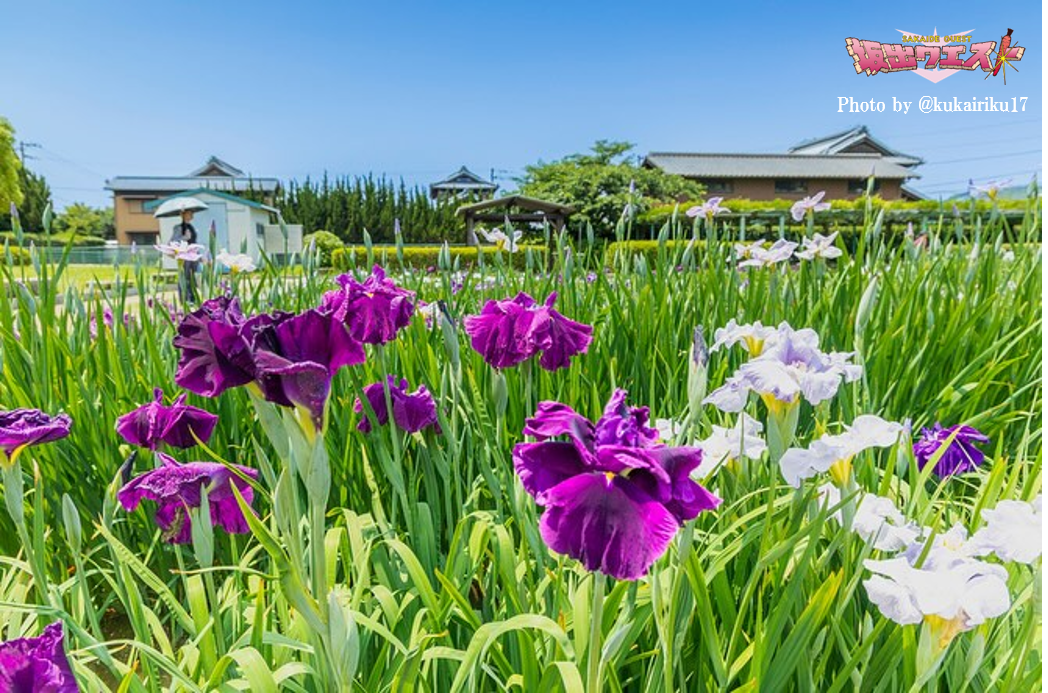 観光　インスタグラム　9