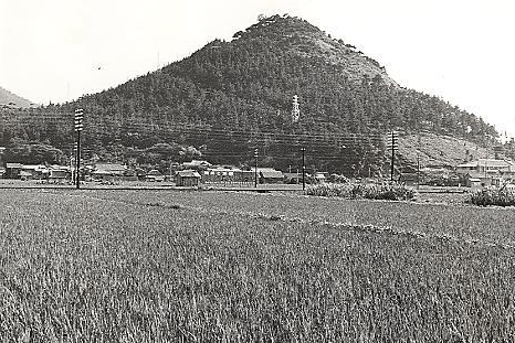 長の堤から笠山展望　1950年