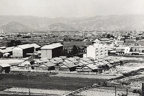聖通寺より市街展望 1952年