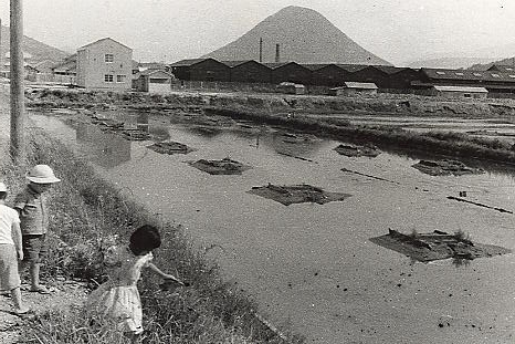 中央臨港道路より南展望　1953年