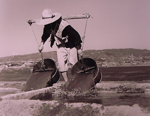 入浜式塩田・上げ水作業　1953年