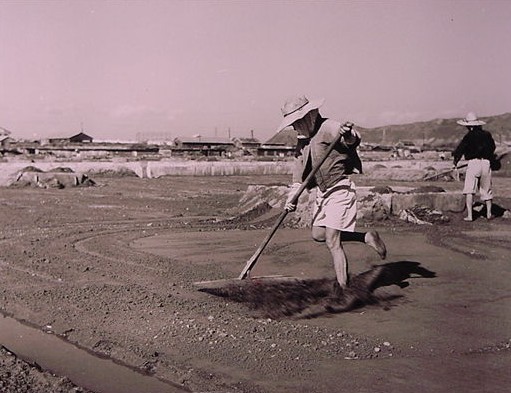 入浜式塩田･おろし作業　1953年