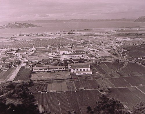 笠山からの眺望（中央は東部小学校）　1956年