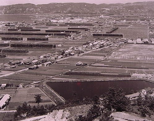 聖通寺山からの展望（並ぶ流下式塩田）　1962年