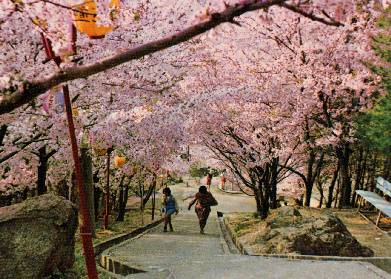 市民のいこいの広場　常盤公園