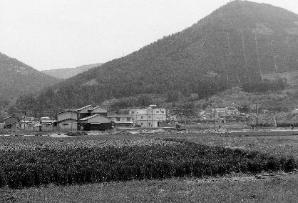 鎌田池下より常山を望む