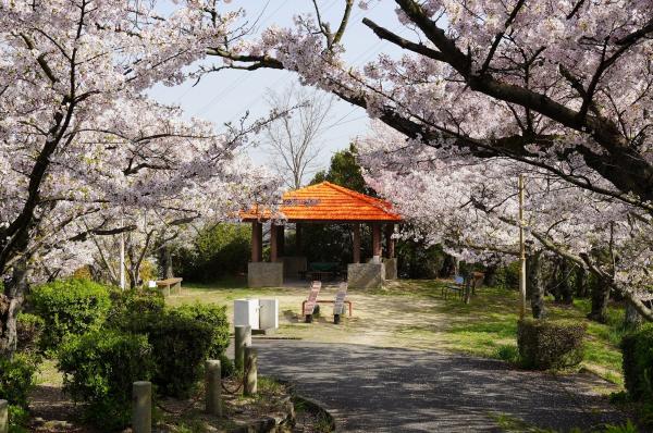 常盤公園