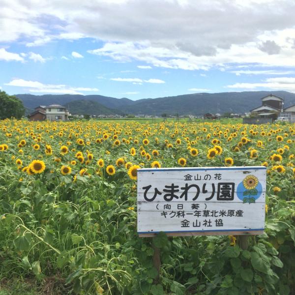 ひまわり園