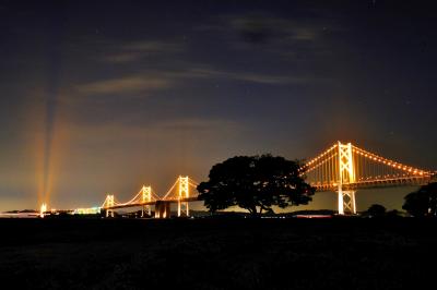 lightup seto ohashi bridge and tree