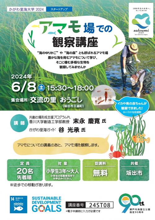 アマモ観察講座