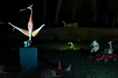 動物作品の写真