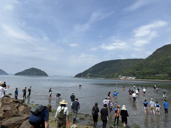 海辺