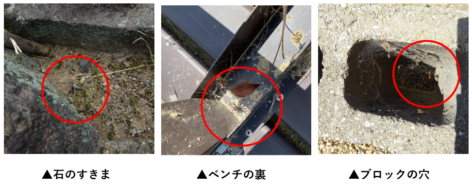 生息場所
