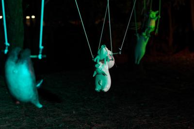 動物作品の写真