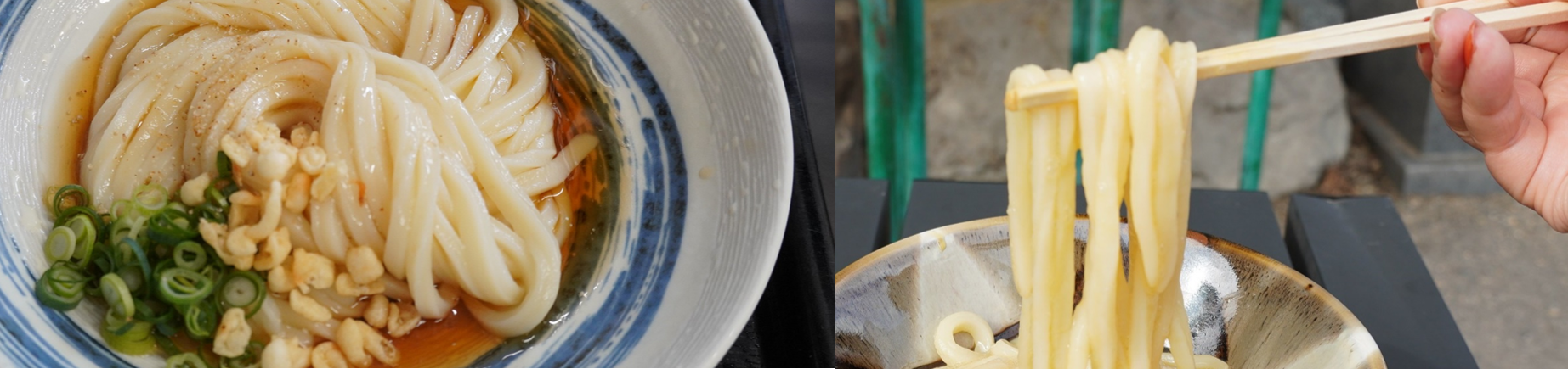 うどん派のあなたに