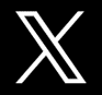 公式X