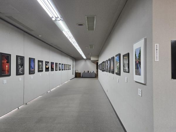 展示：写真
