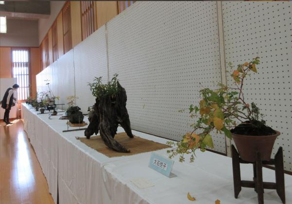 山野草