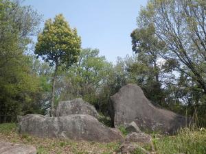 明神原（遠景）