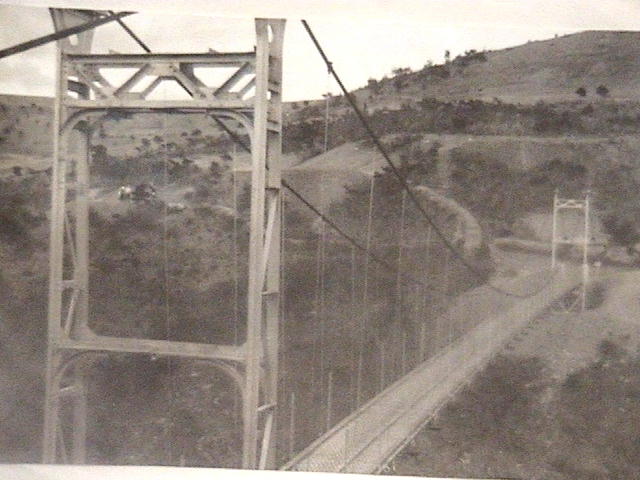 城山山頂つり橋の写真