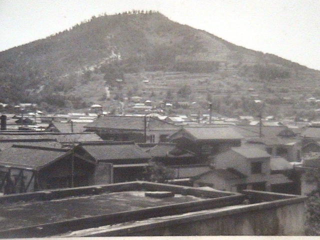 坂出市立図書館より角山を見た風景写真