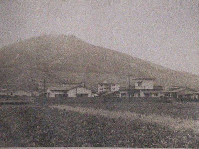 池園町の風景写真