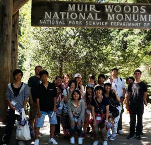 muirwoods