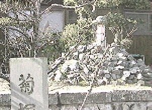 菊塚の写真