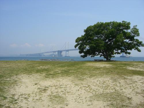 ナカンダ浜とエノキ