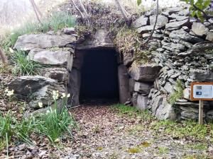 府中・醍醐大型古墳群見学とこんにゃくづくり体験