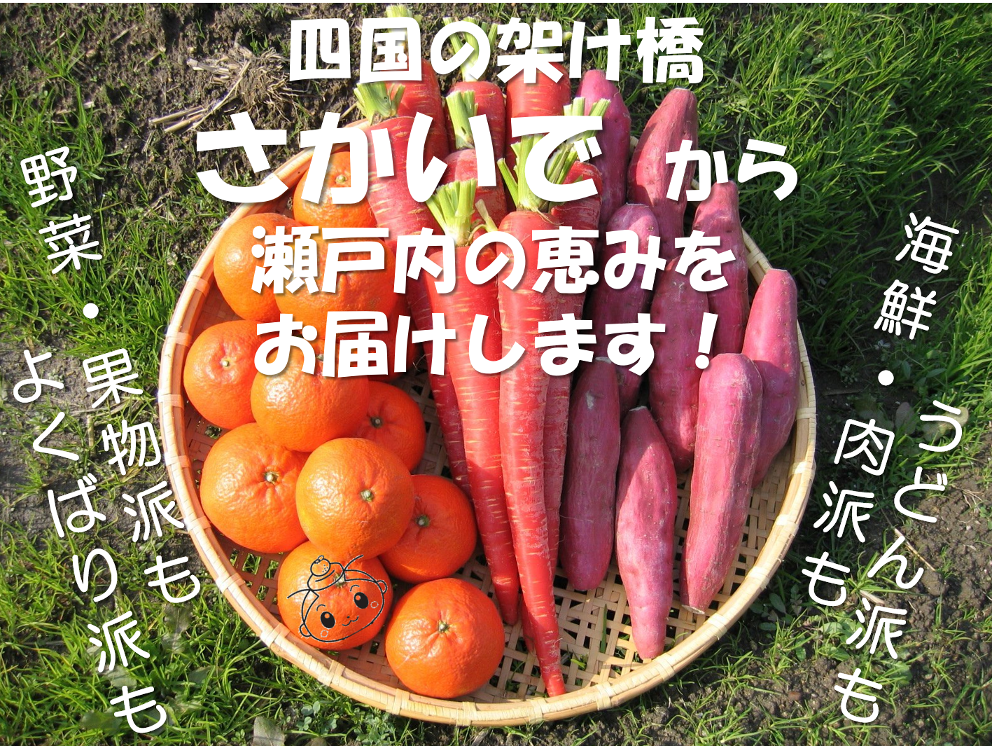 ふるさと納税（ふるさと坂出応援寄附）のタイトル画像